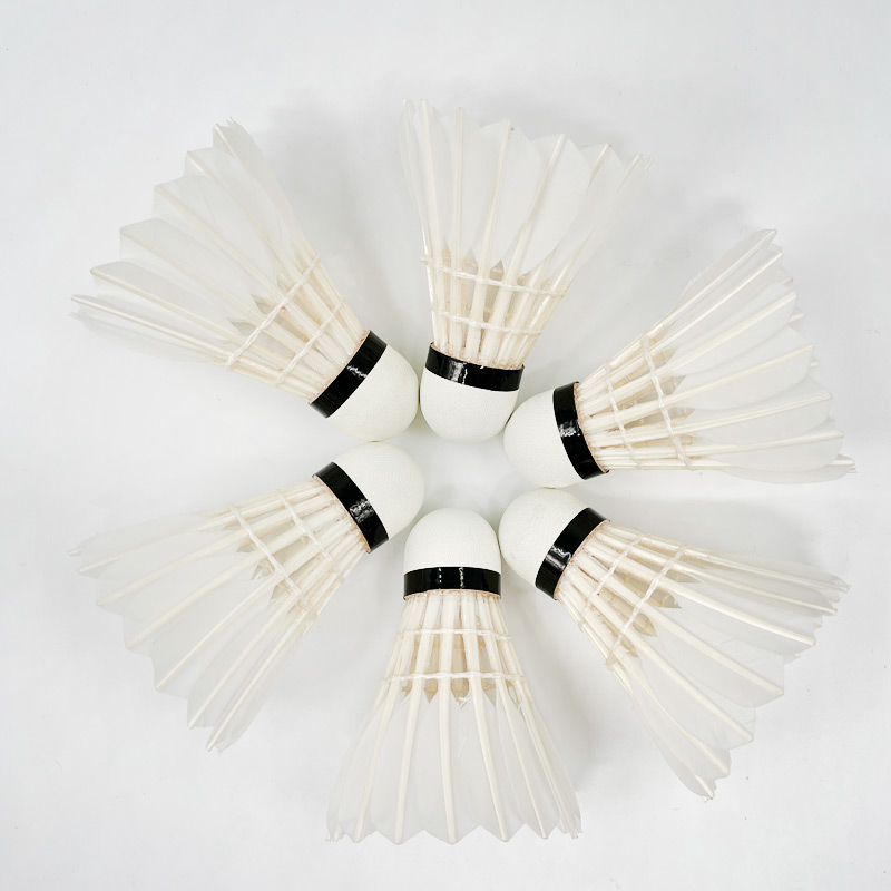 Bádminton tradicional de pluma - Badminton Championship reseña y precio