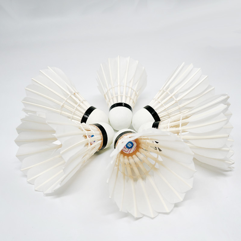 Bádminton tradicional de pluma - Badminton Championship reseña y precio