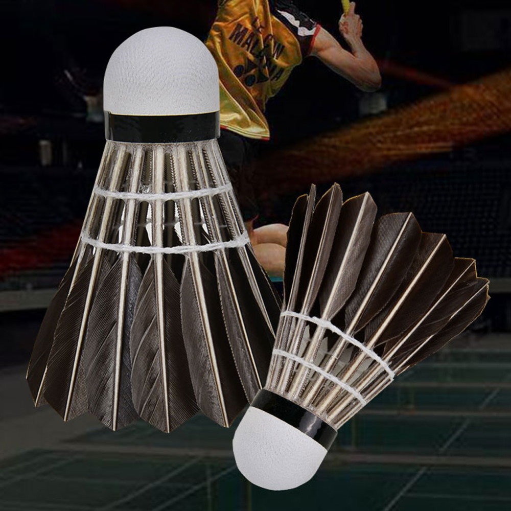 3/6/12 Piezas de Accesorios De - Badminton Bwf reseña y precio