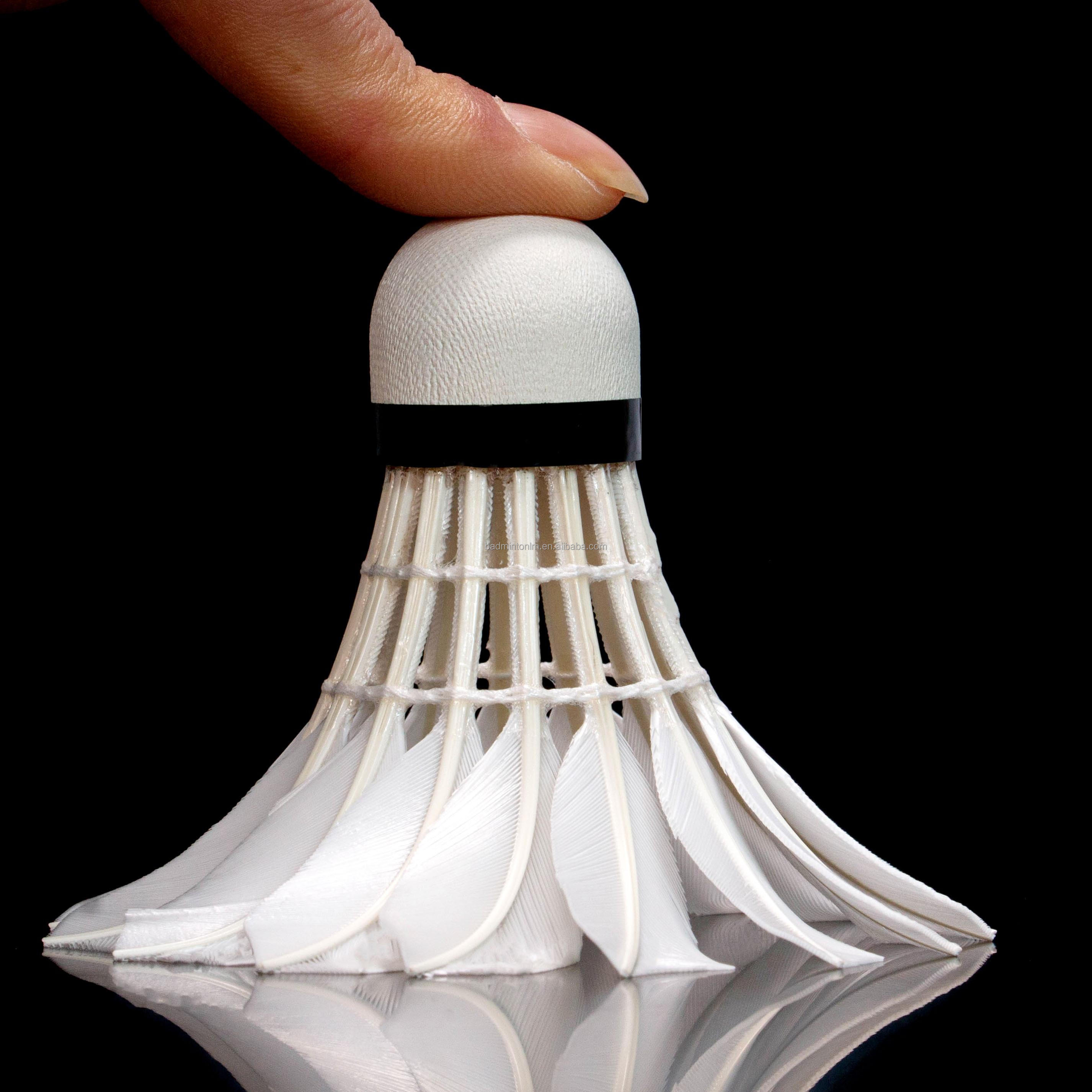 90PRO para EG1130, Pluma de Ga - Badminton Championship reseña y precio